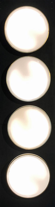 Arne Jacobsen: Applique Lampade munkegaard del XX Secolo Design Dimensioni: diametro cm 52 p cm 14.. Pezzo di storia autentico - Robertaebasta® Art Gallery opere d’arte esclusive.